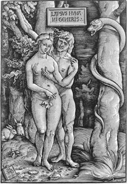 Grien S�ndenfall 1511 Adam