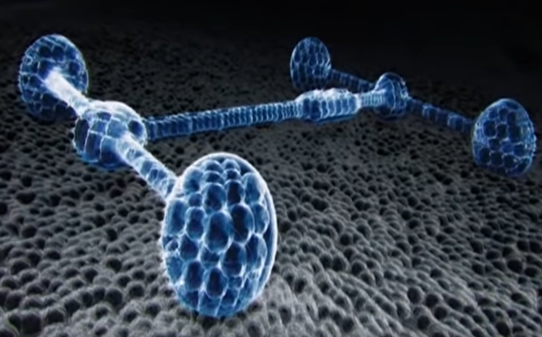 Nano-Auto3