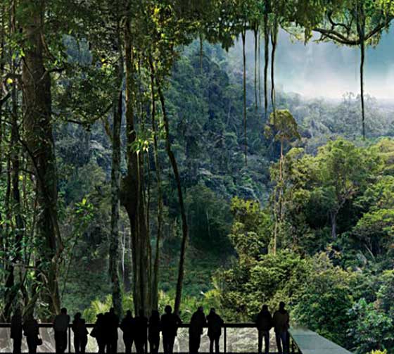 Panorama amazonien